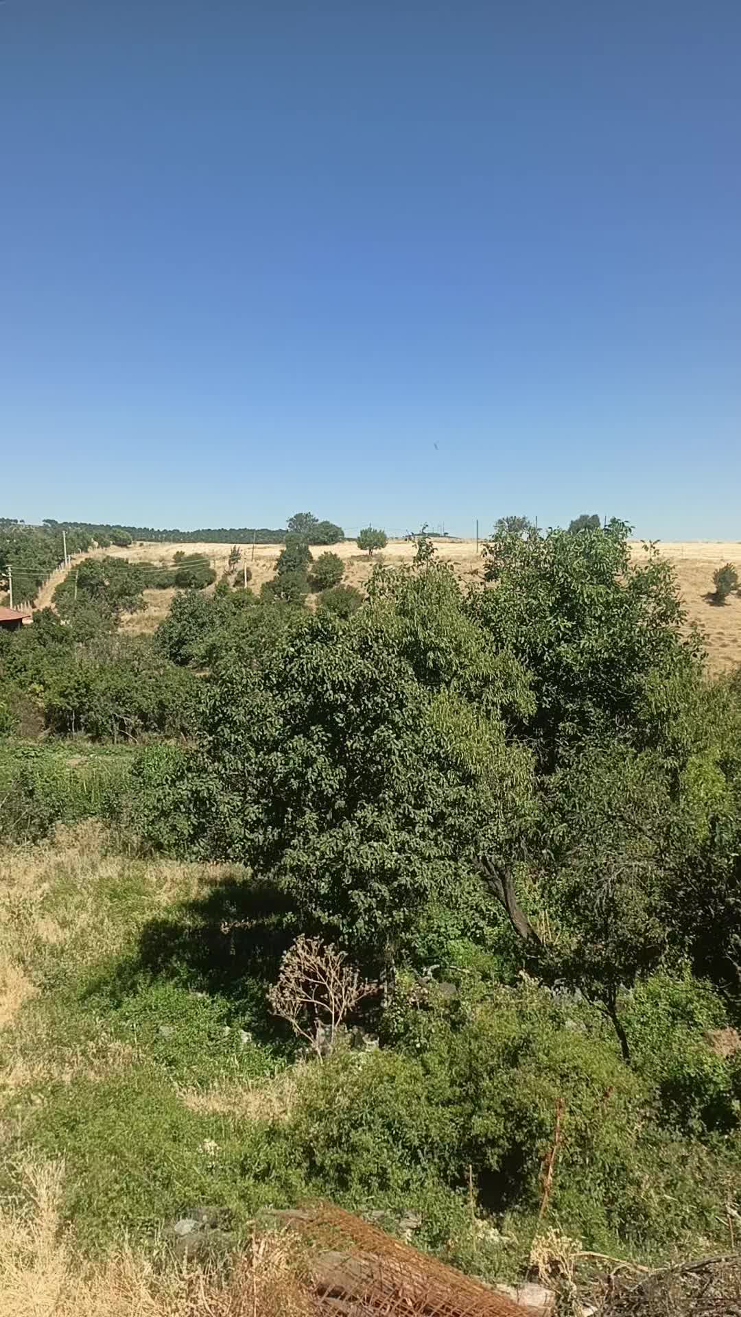 @oğuz