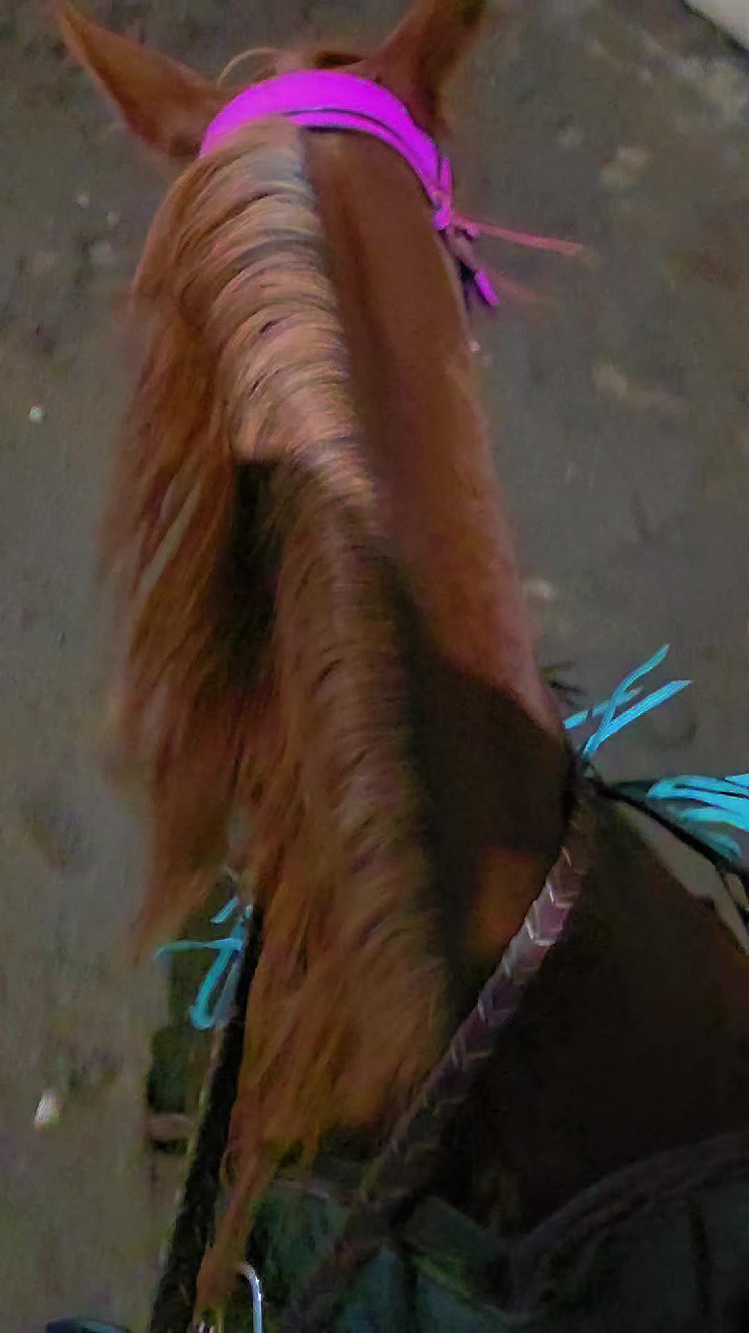 @꧁ꋬꋊꍌ꒐ꏂ ꍌꄲꊰꊰ꒐ꋊ꧂
