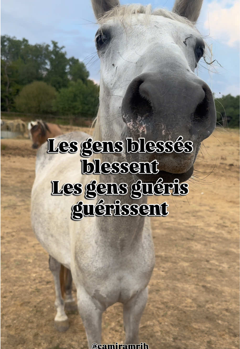 @Relance-toi|Corps &Émotions🧠!