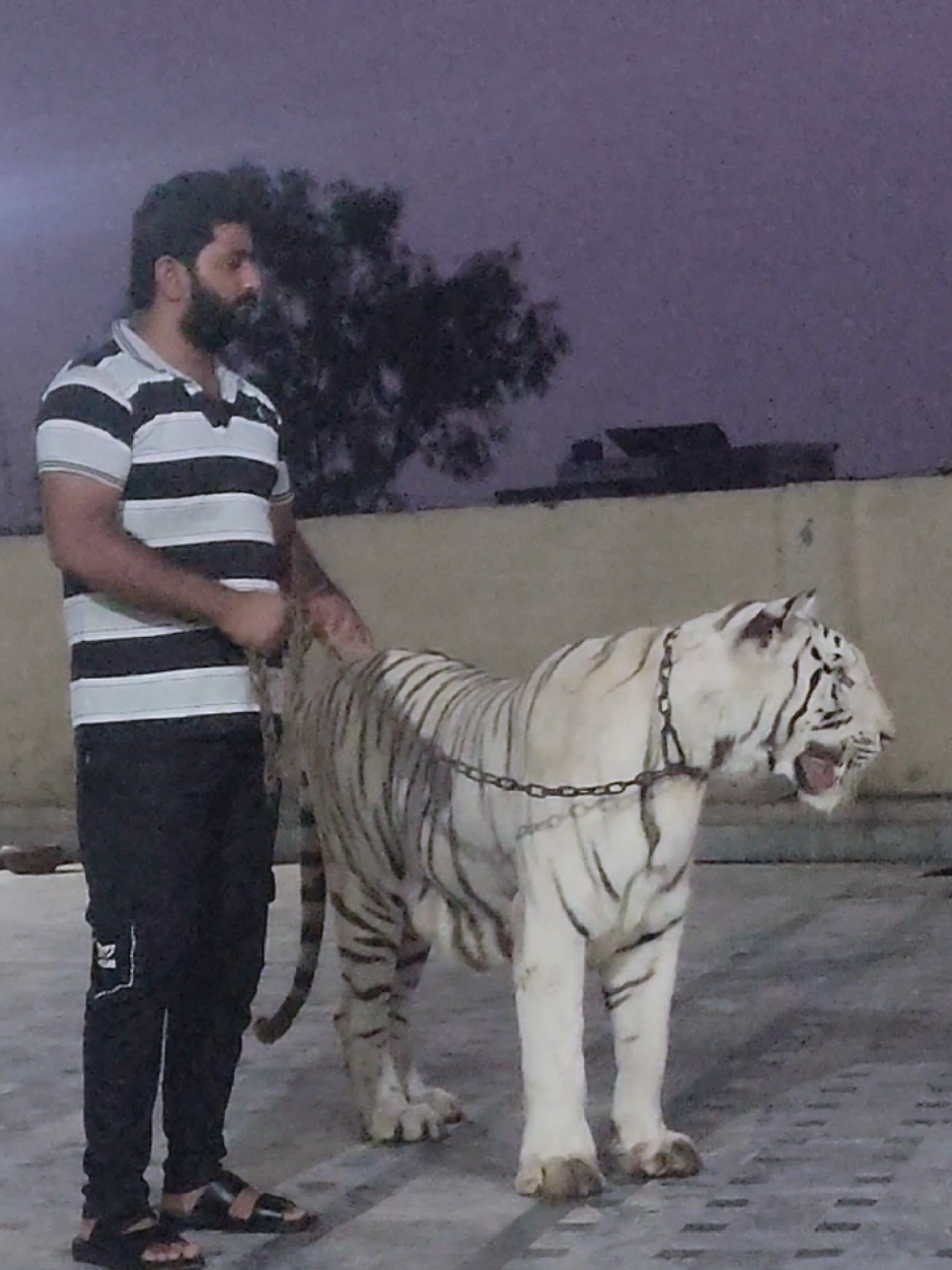 @RehAn