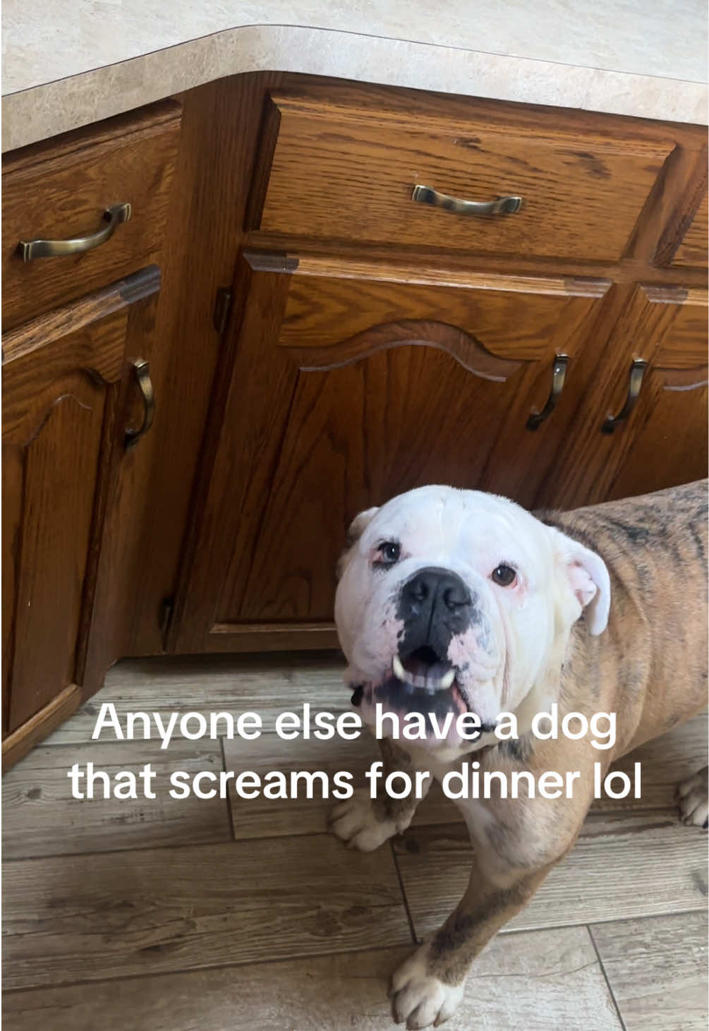 @Mac & Bruschi (&mom)