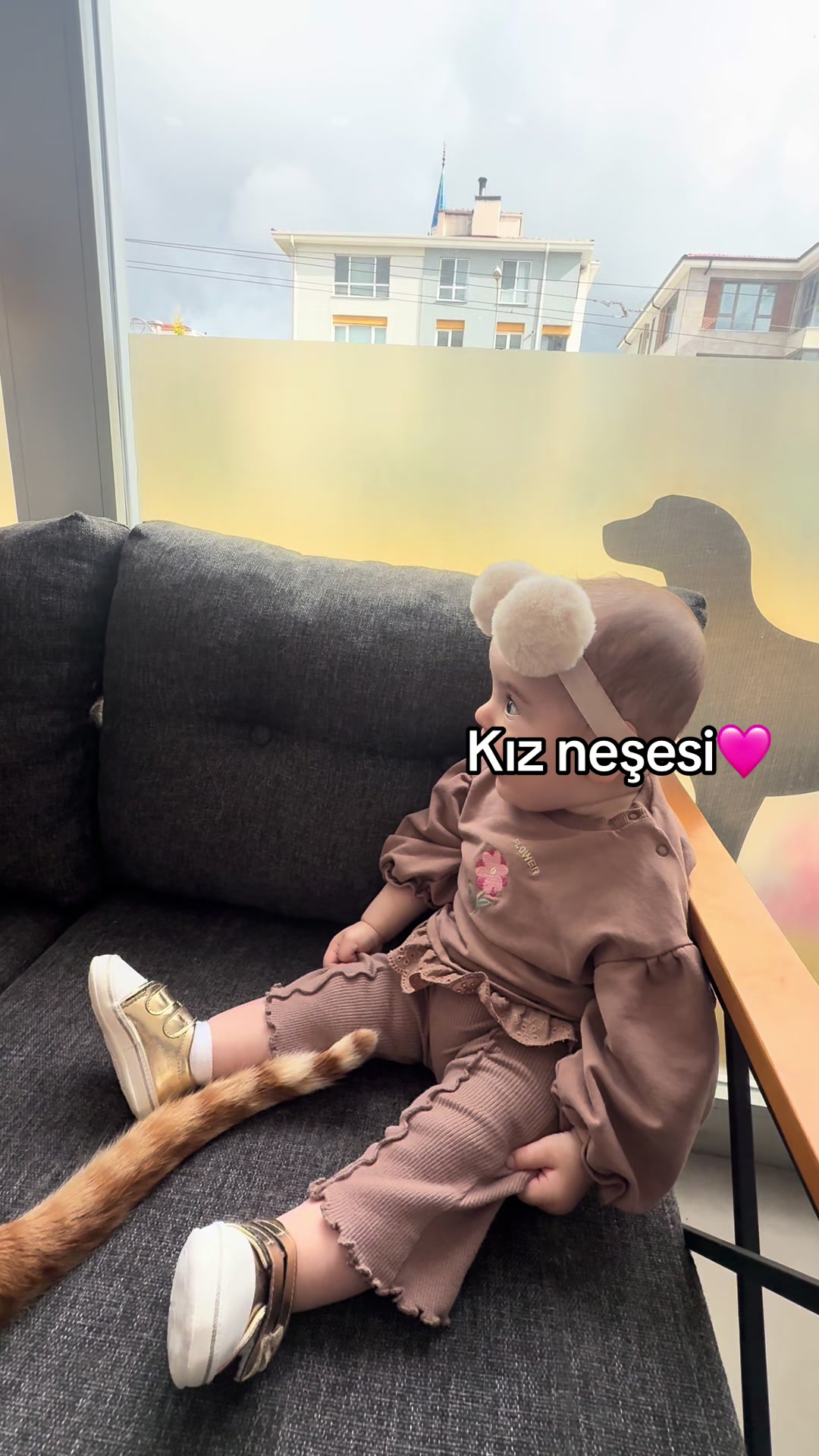 @vet.Behide
