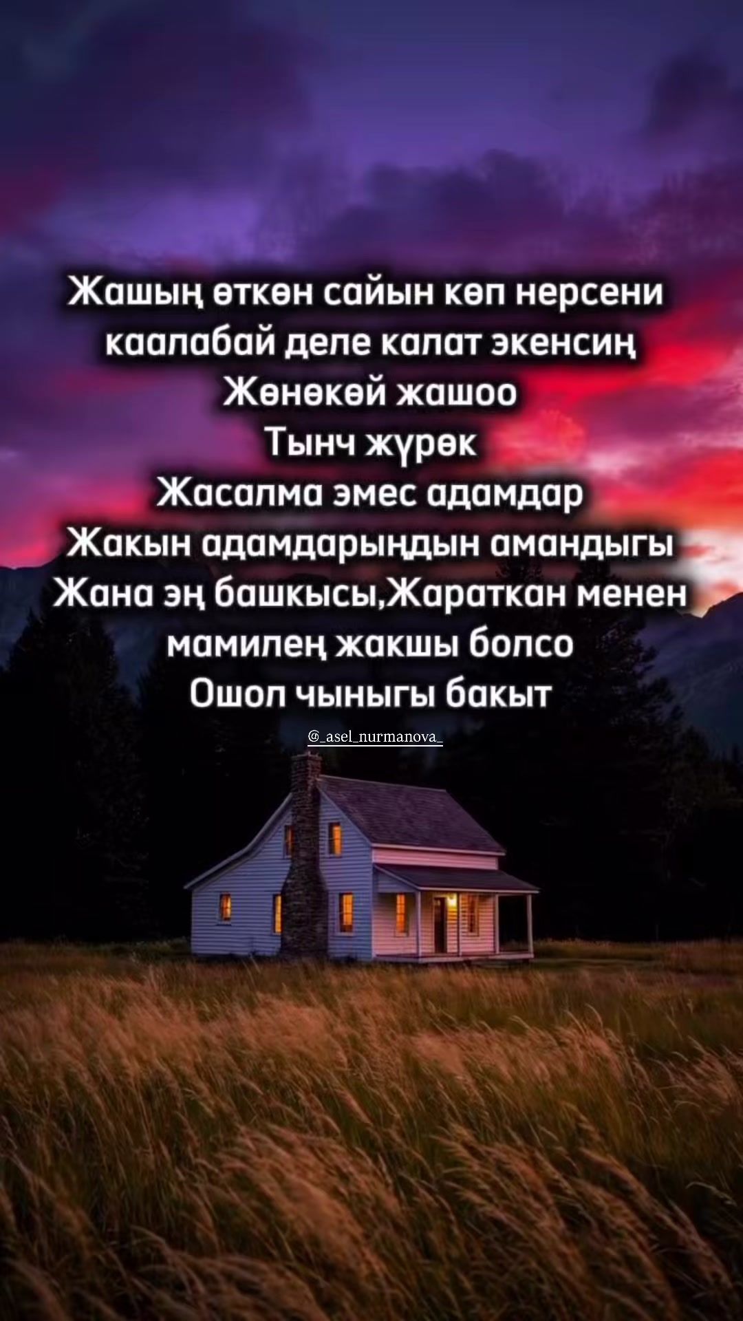@_asel_nurmanova_