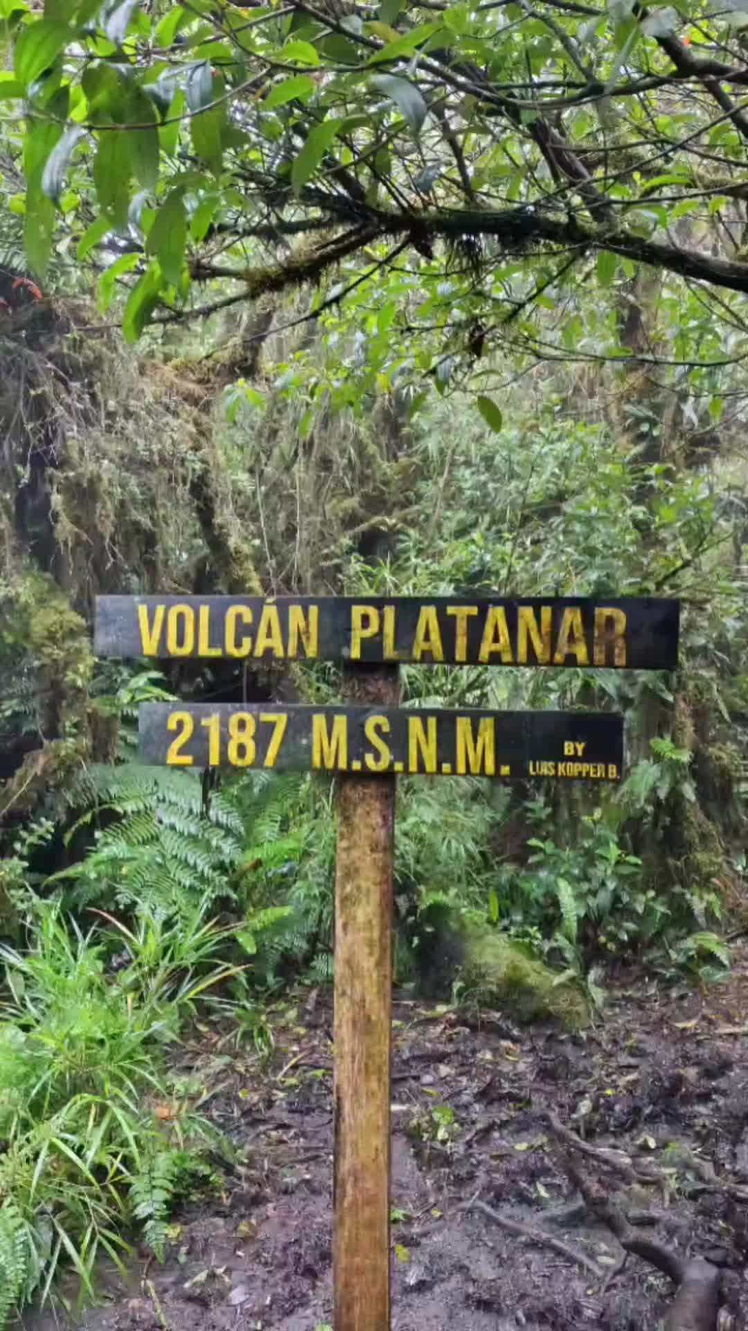 @Rosita explora