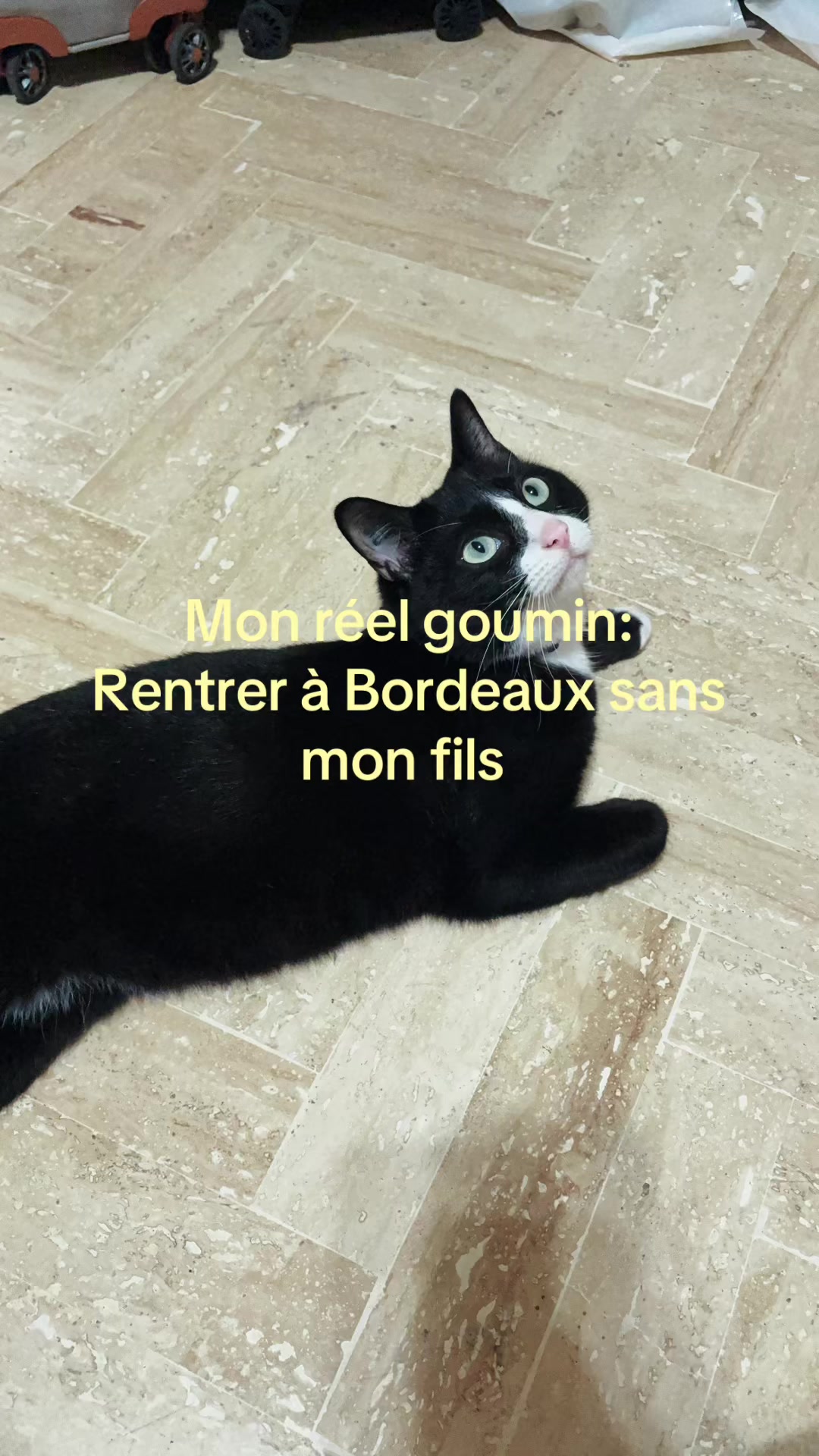 @divorcedmomwithacat