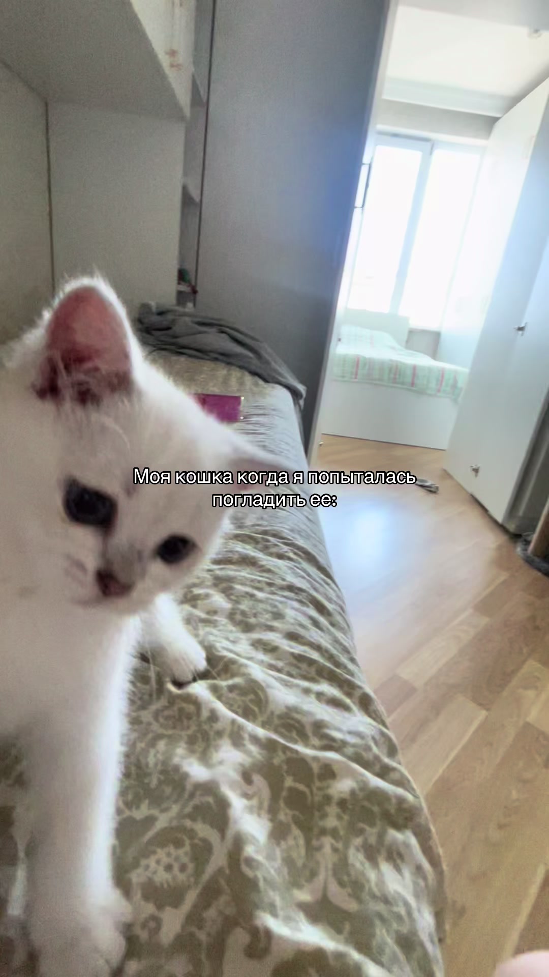 @FATI
