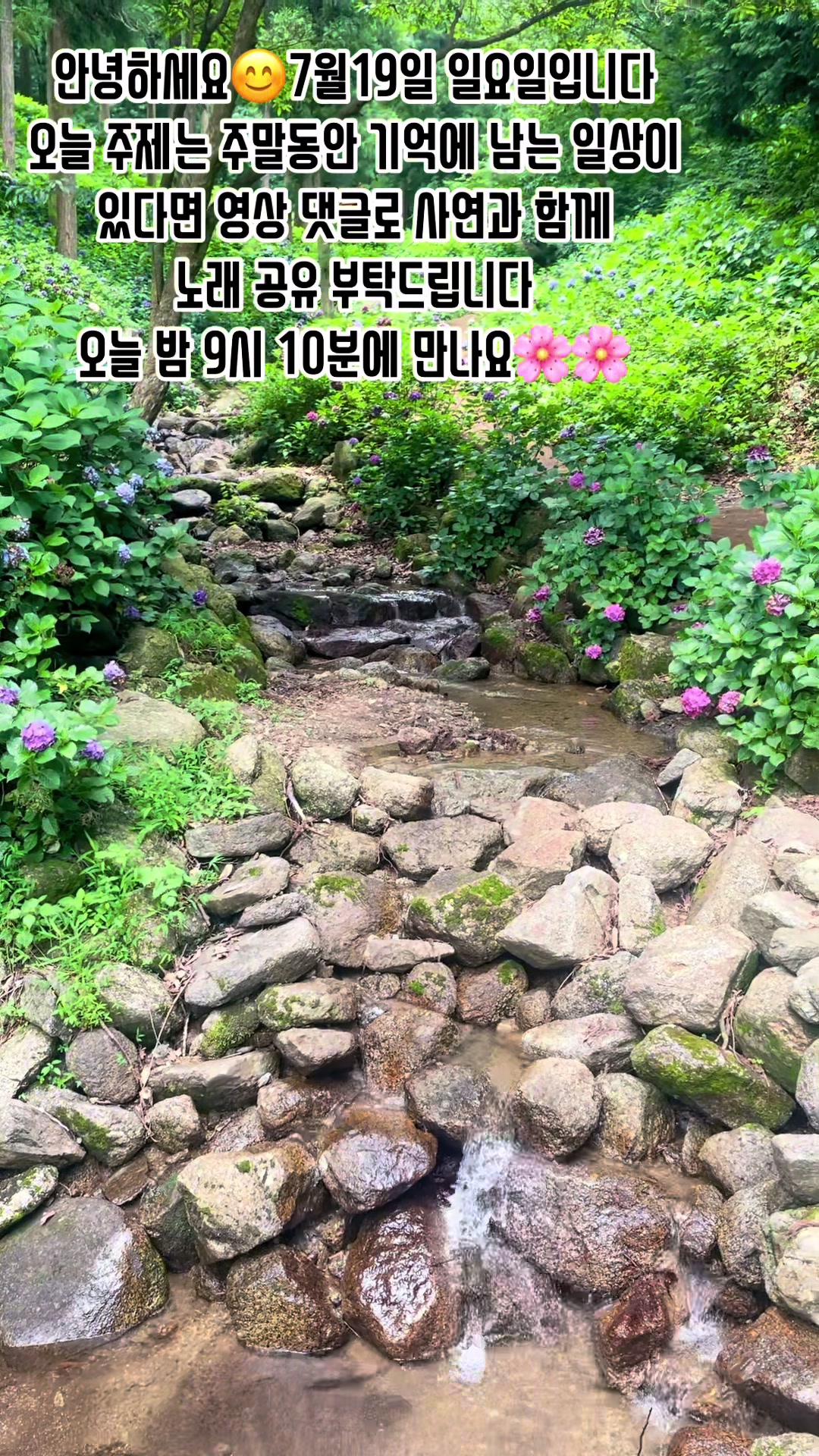 @🪴줄리애쉬