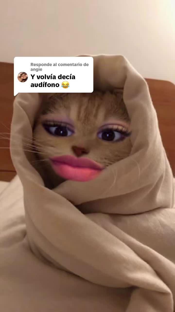 @shelsykg