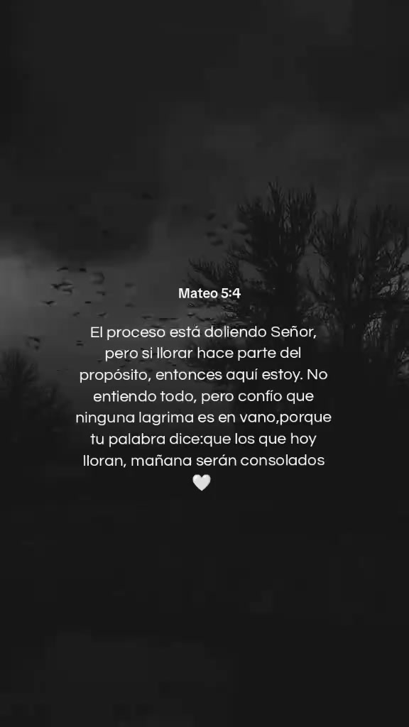 @Jaziel Oñate