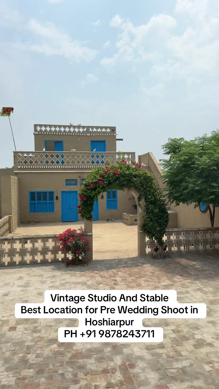 @vintage_studio_nd_stable