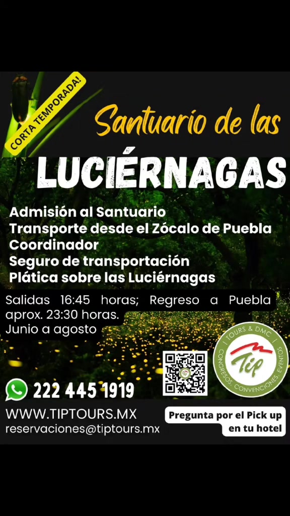 @TipToursDMC