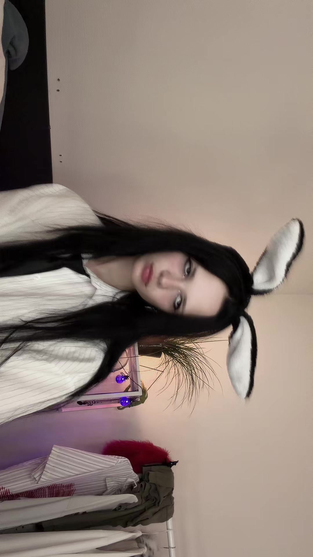 @alexanax