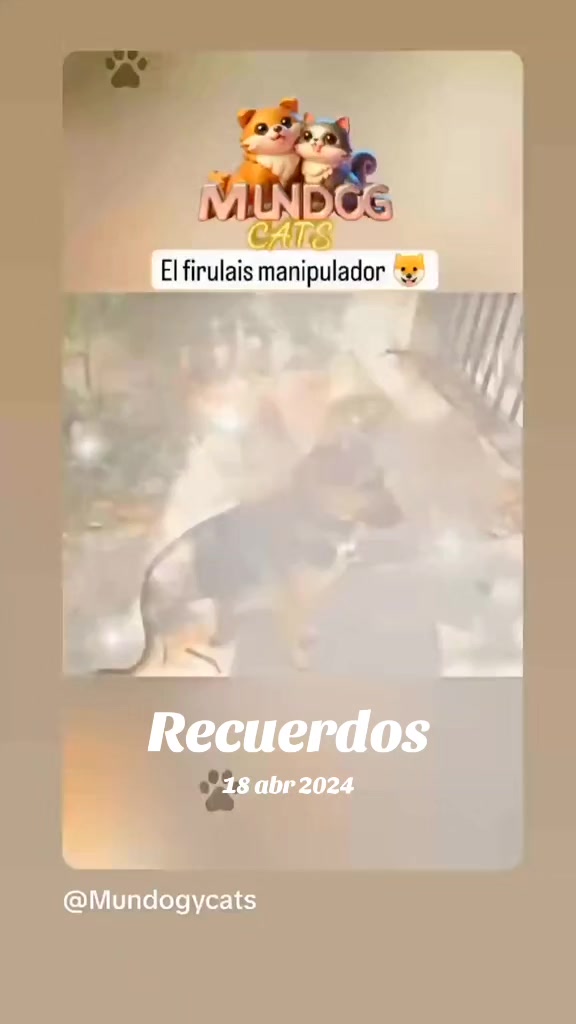 @Mundogycats