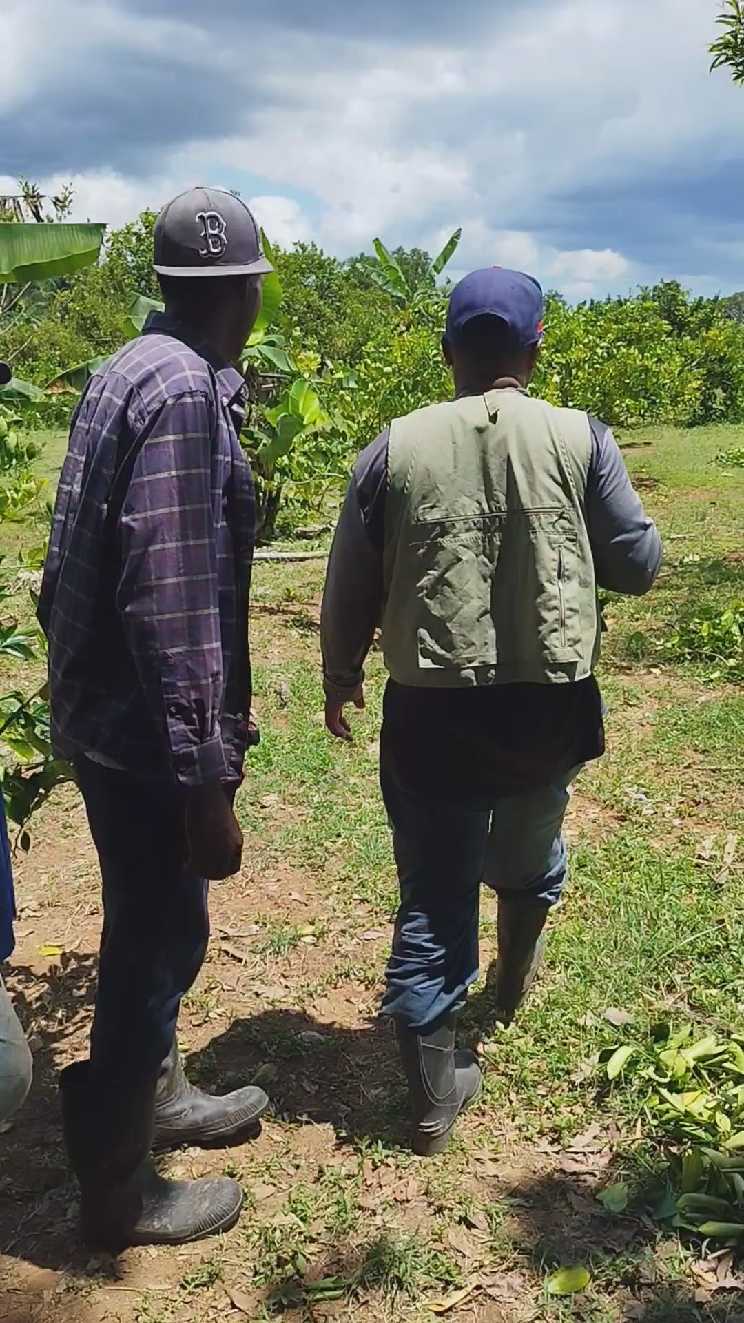 @C&iacute;tricos Ramirez 🍋