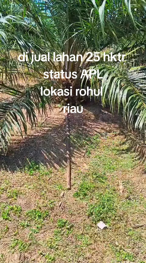 @duo property pku
