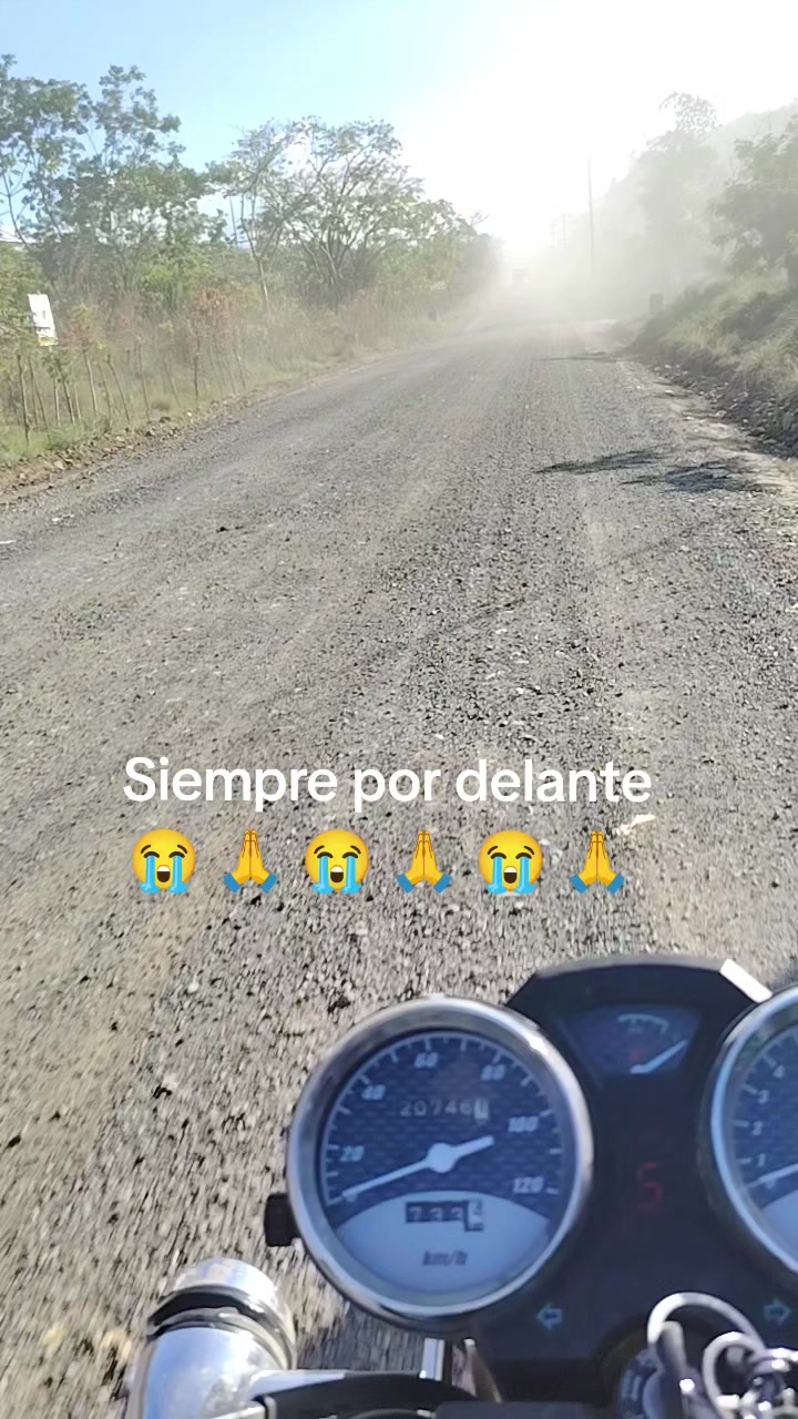 @Evercocyat