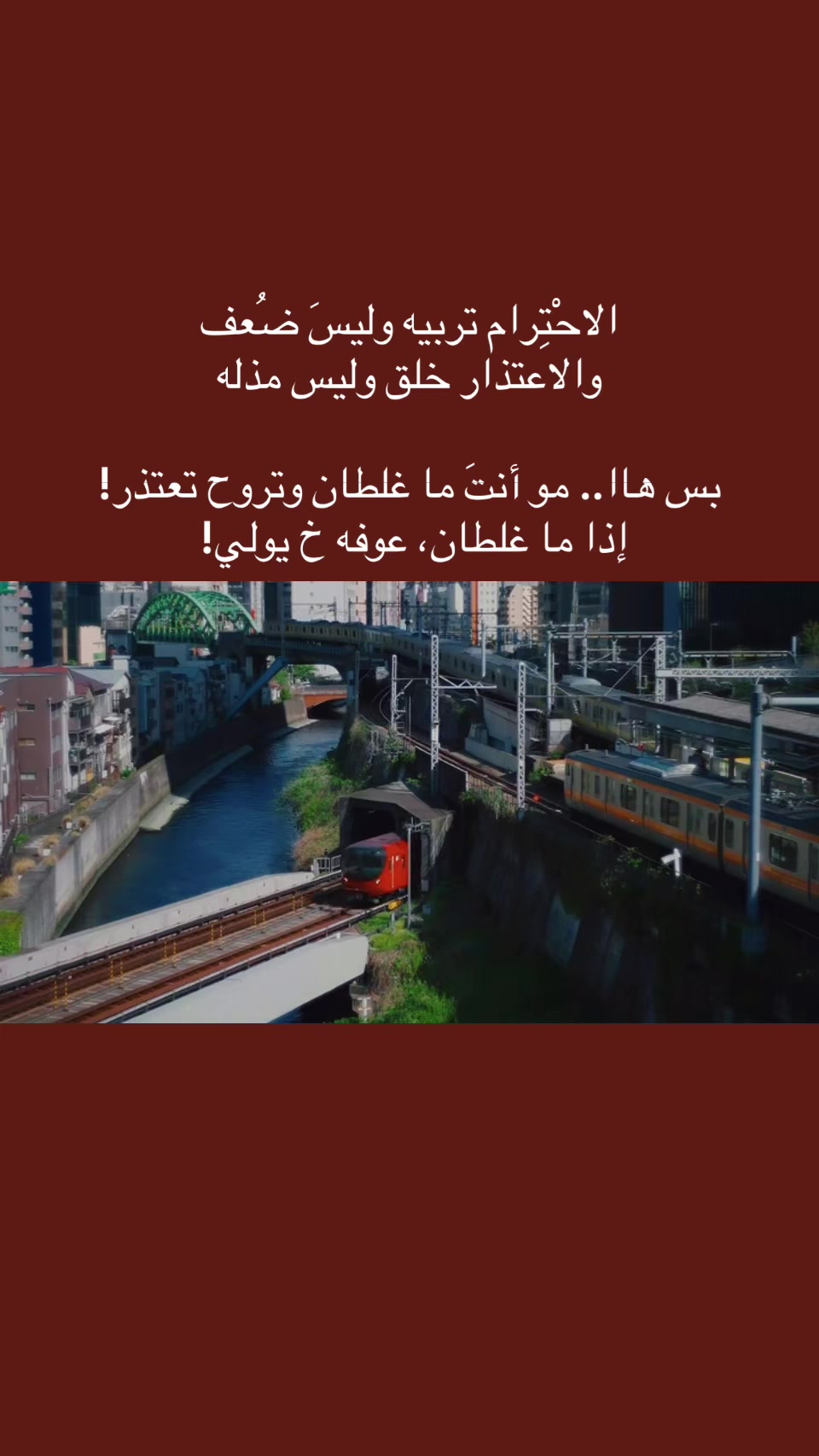 @المجتهد