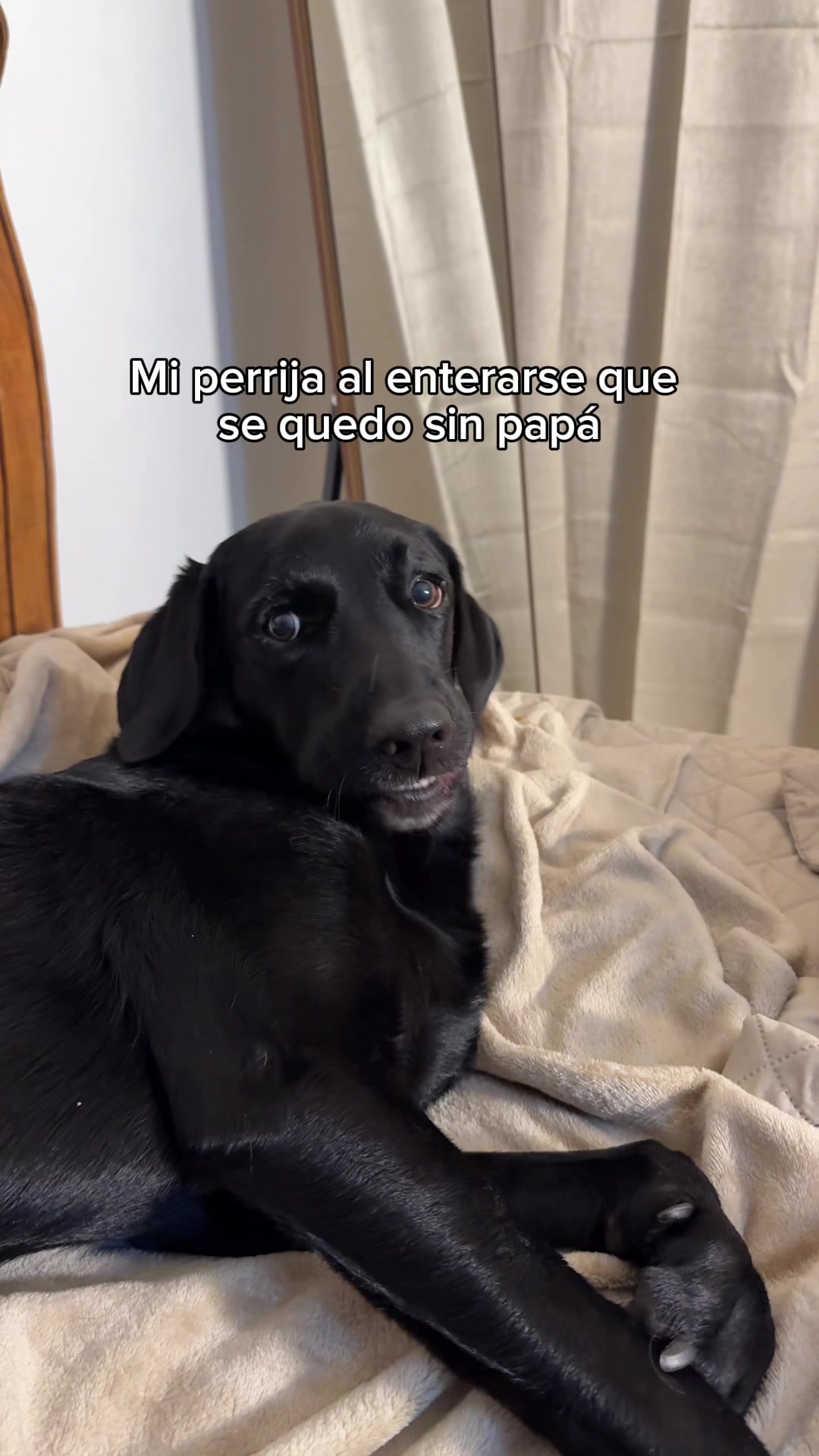 @gleypuentes ༽