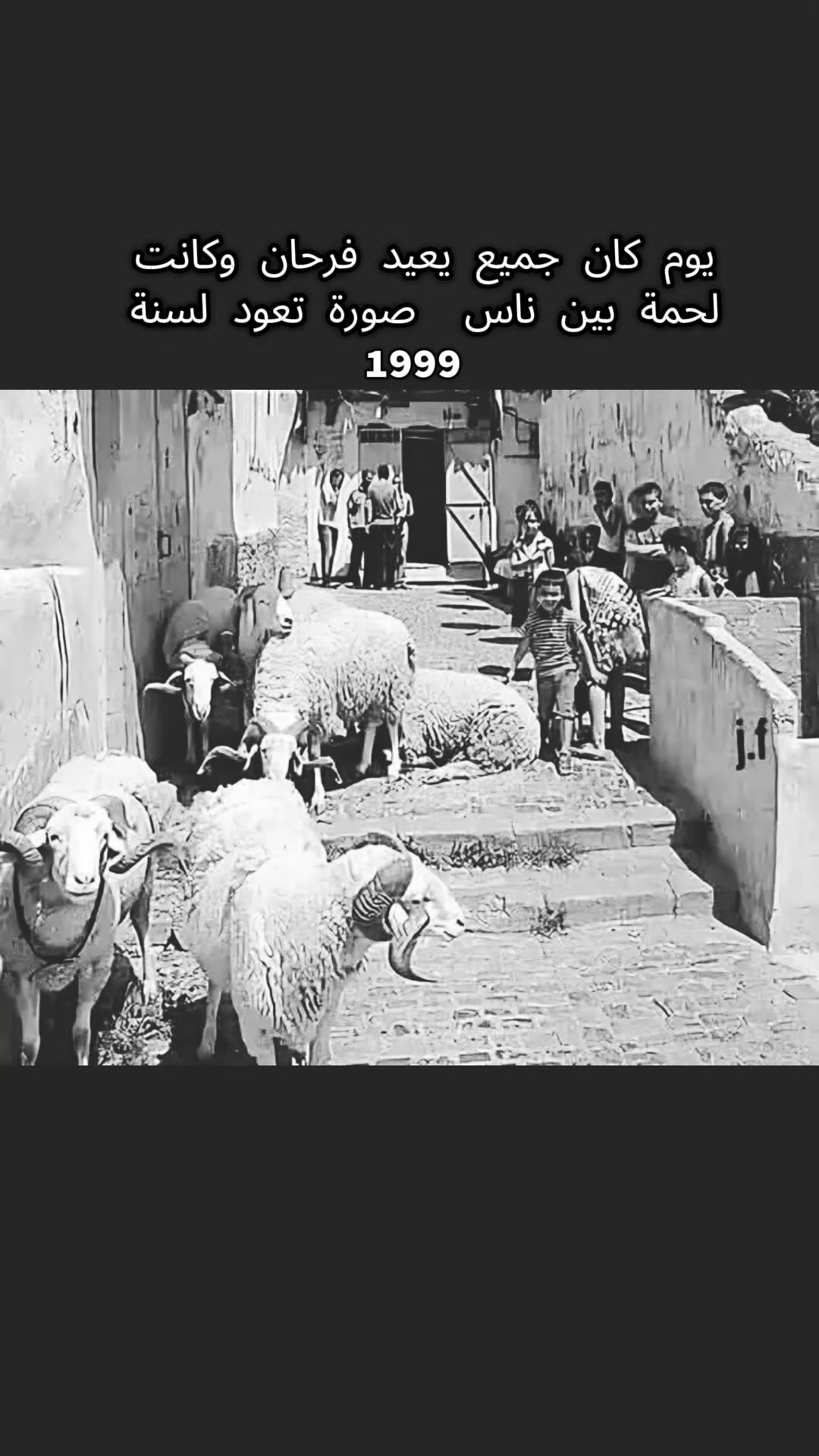 @العميد