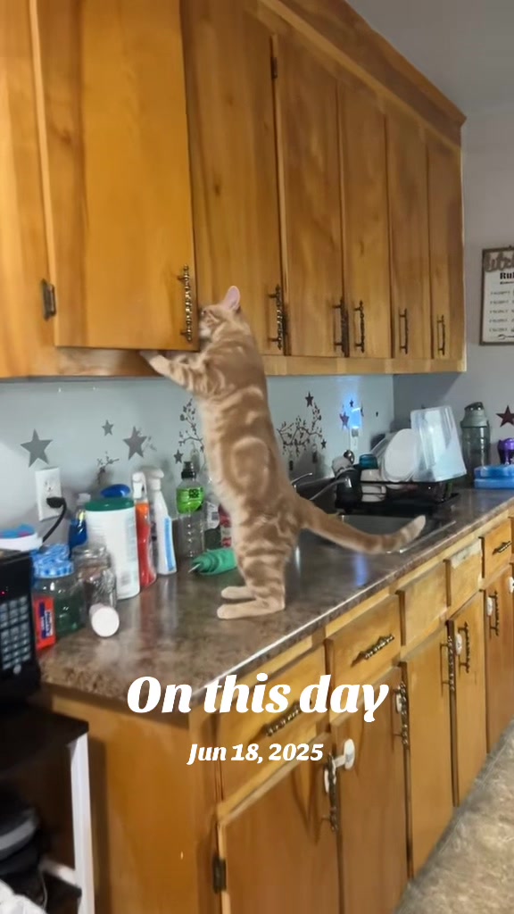 @Gypsy_pickles&leo