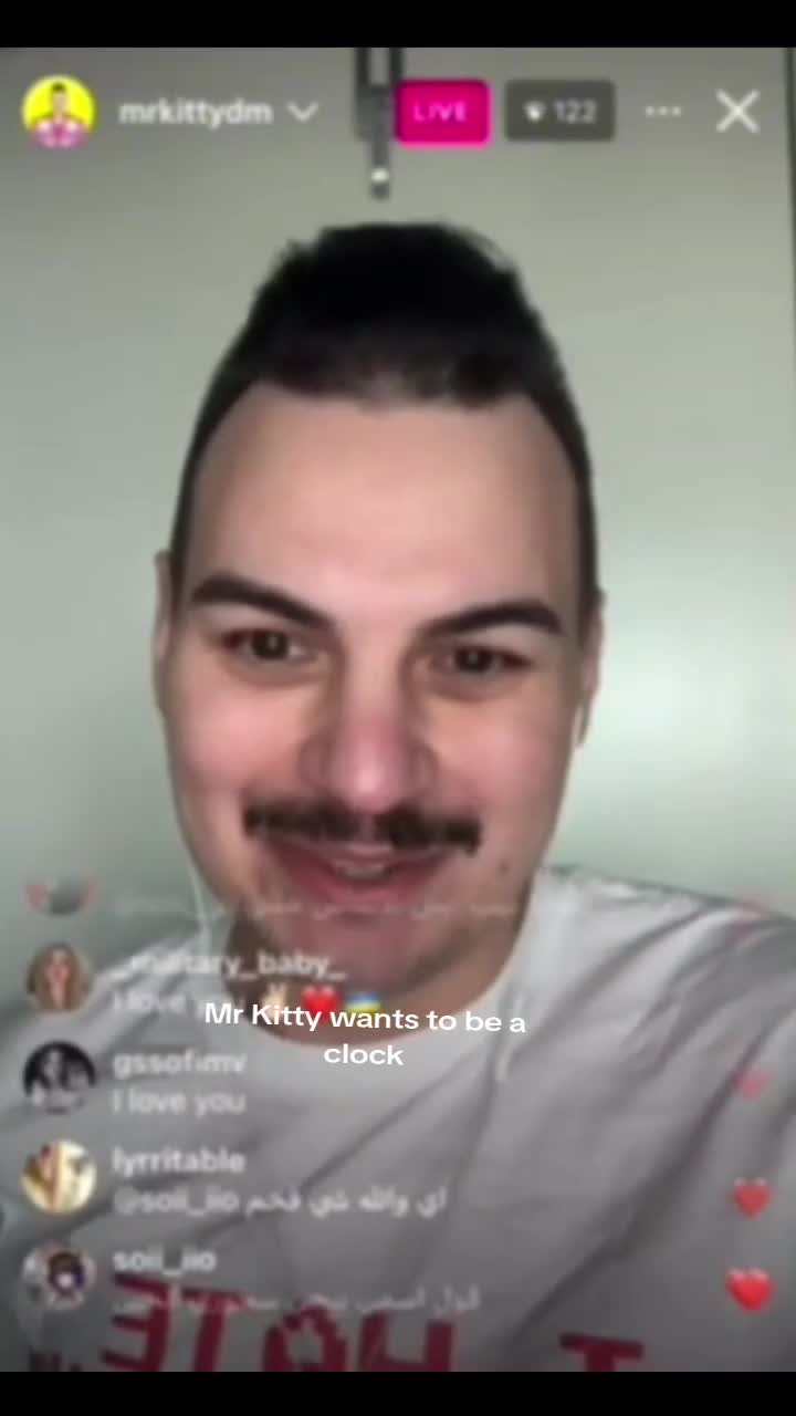 @Daily Mr.Kitty