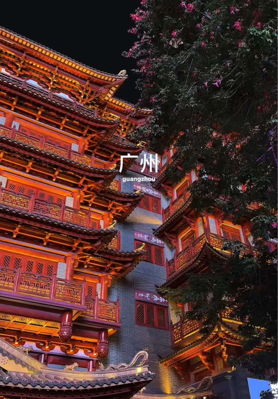 @sherrgoh