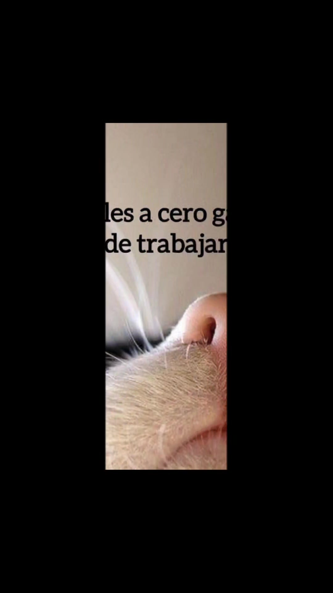 @Bernhard_O_Romero