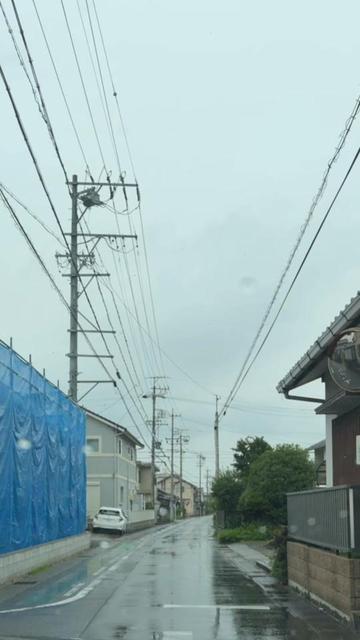 @達磨寅次郎