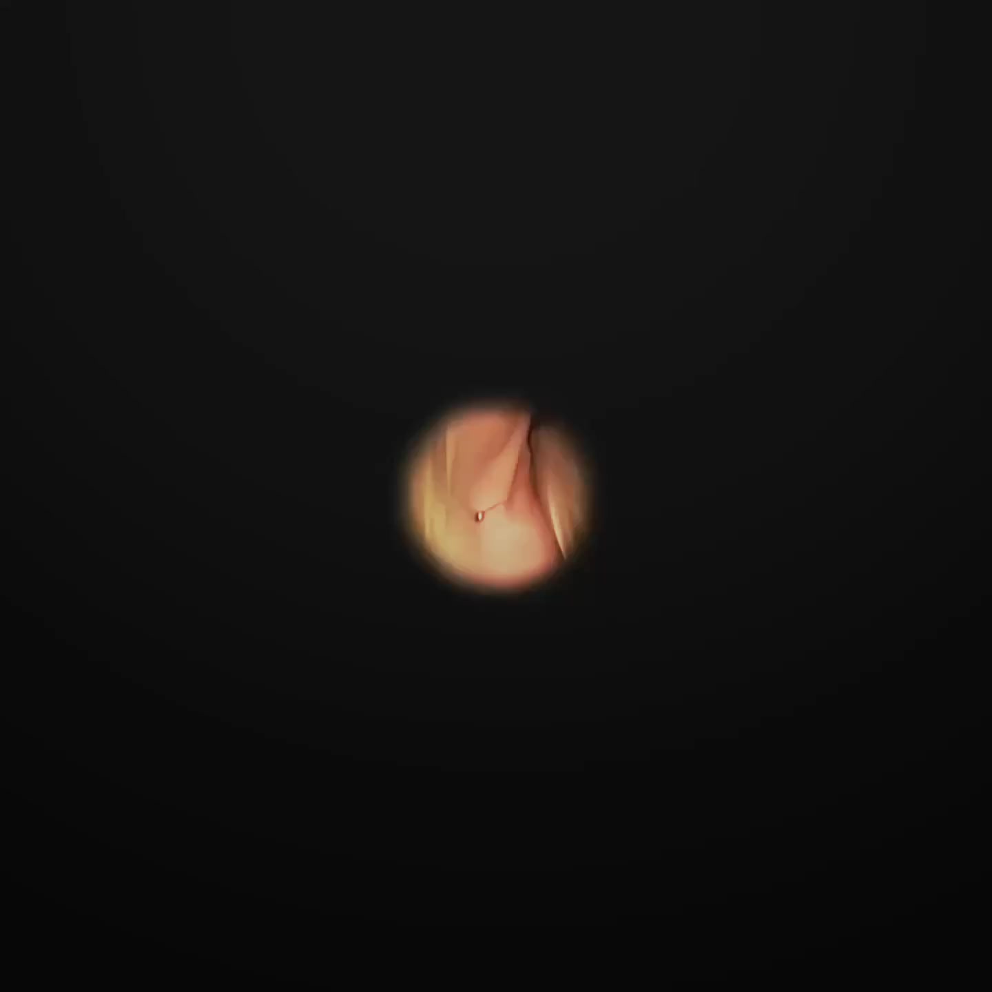 @&bull; ᴍɪʜᴀᴇʟᴀ &bull;