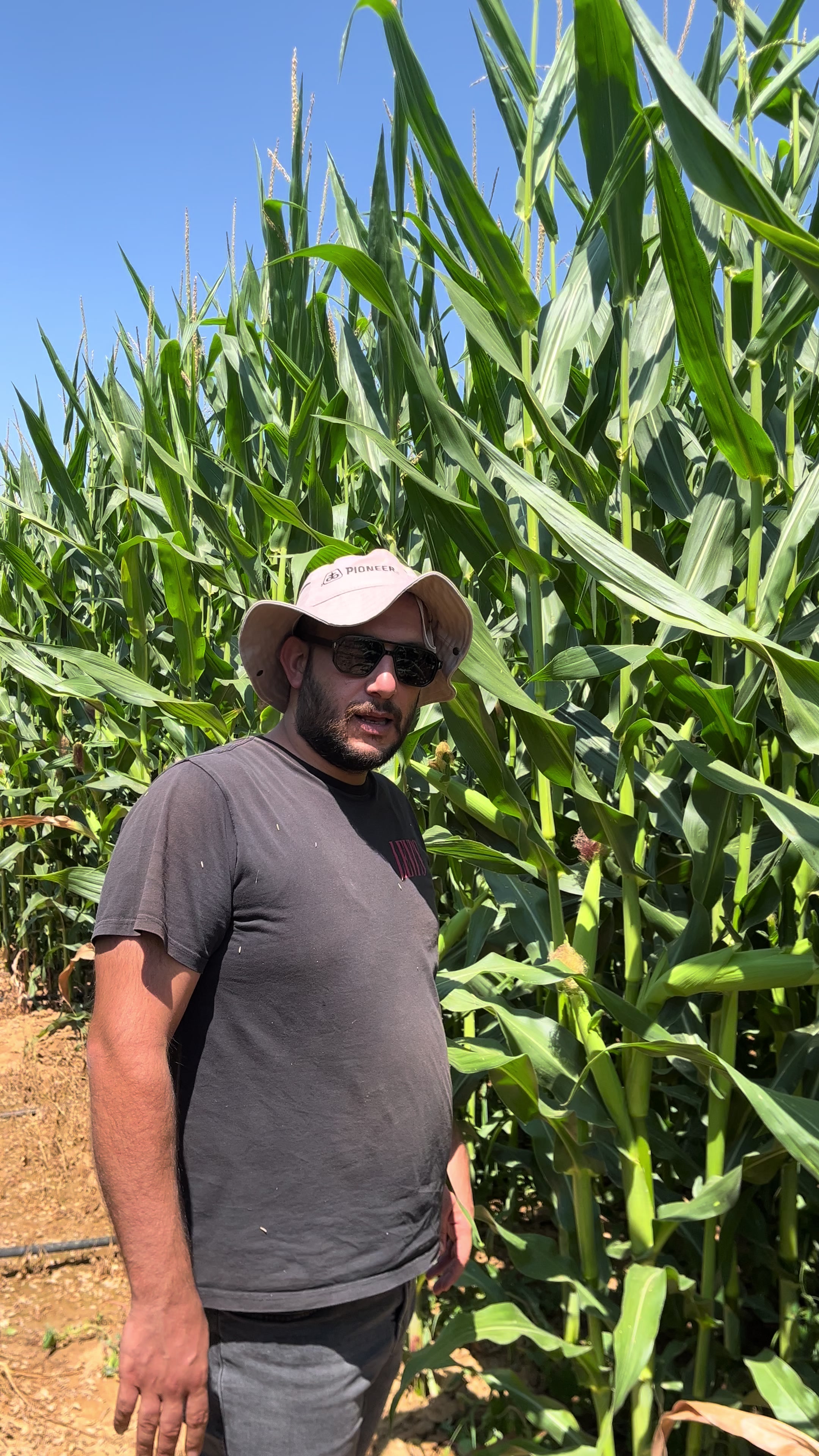 @AGROŞİMŞEK TARIM ÜRÜNLERİ