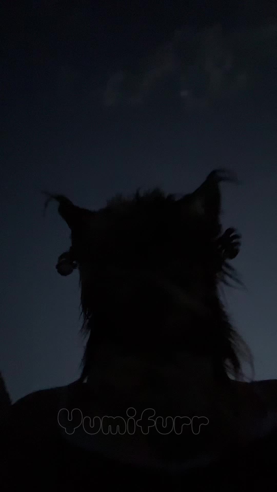 @yumifurr๐๐พโ๏ธ