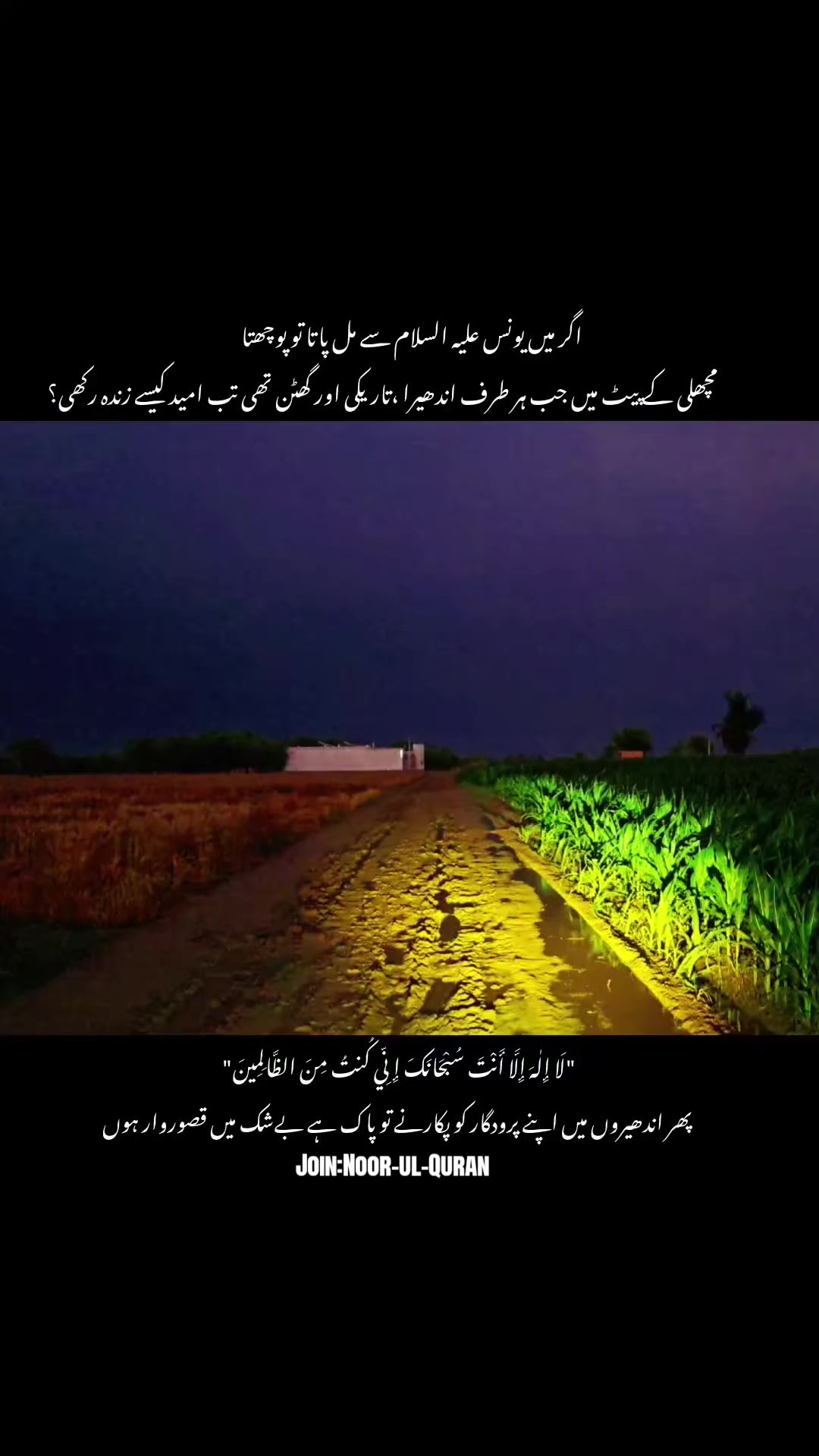 @قیس ✨🤍