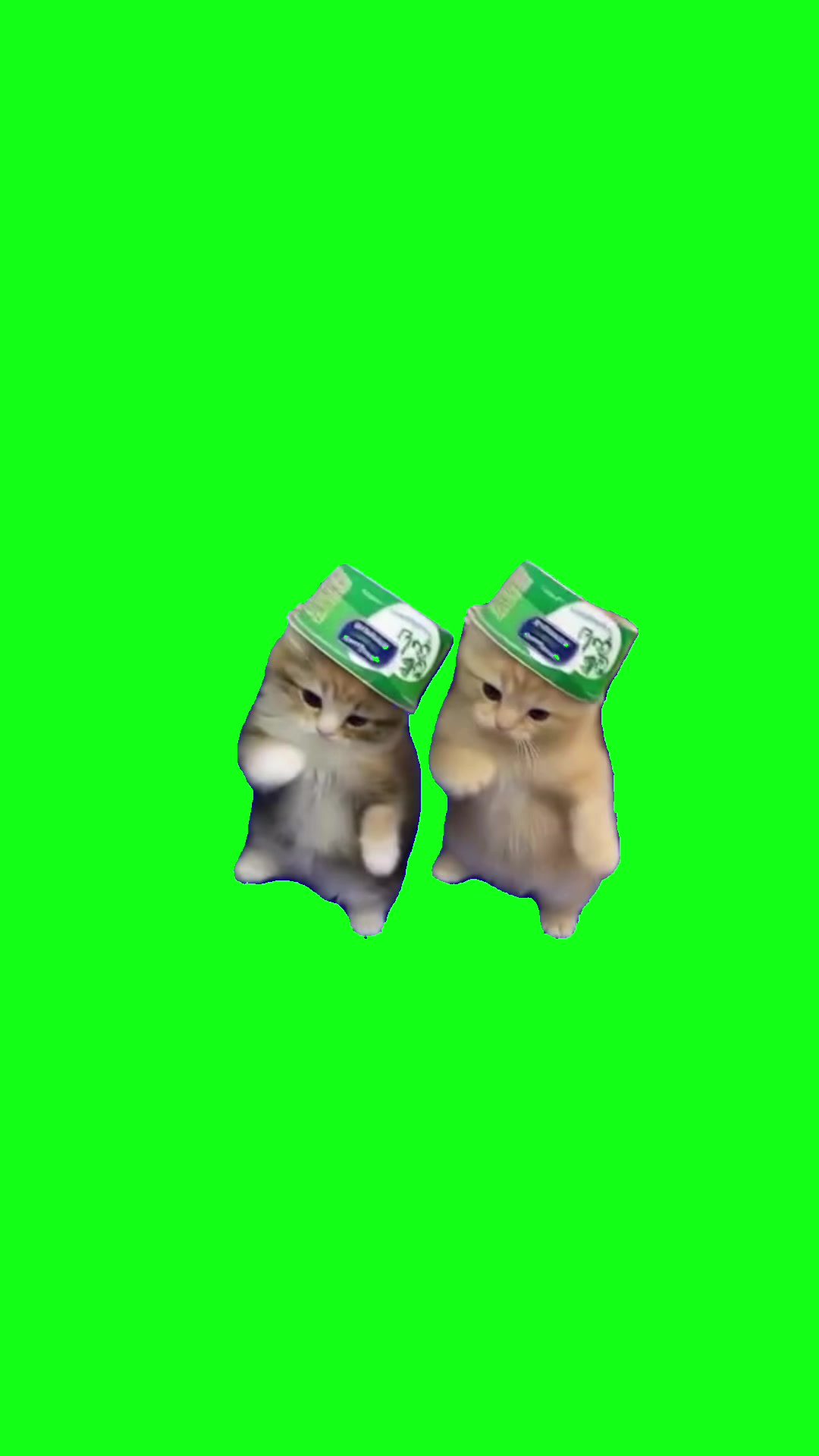 @Green Screen Memes