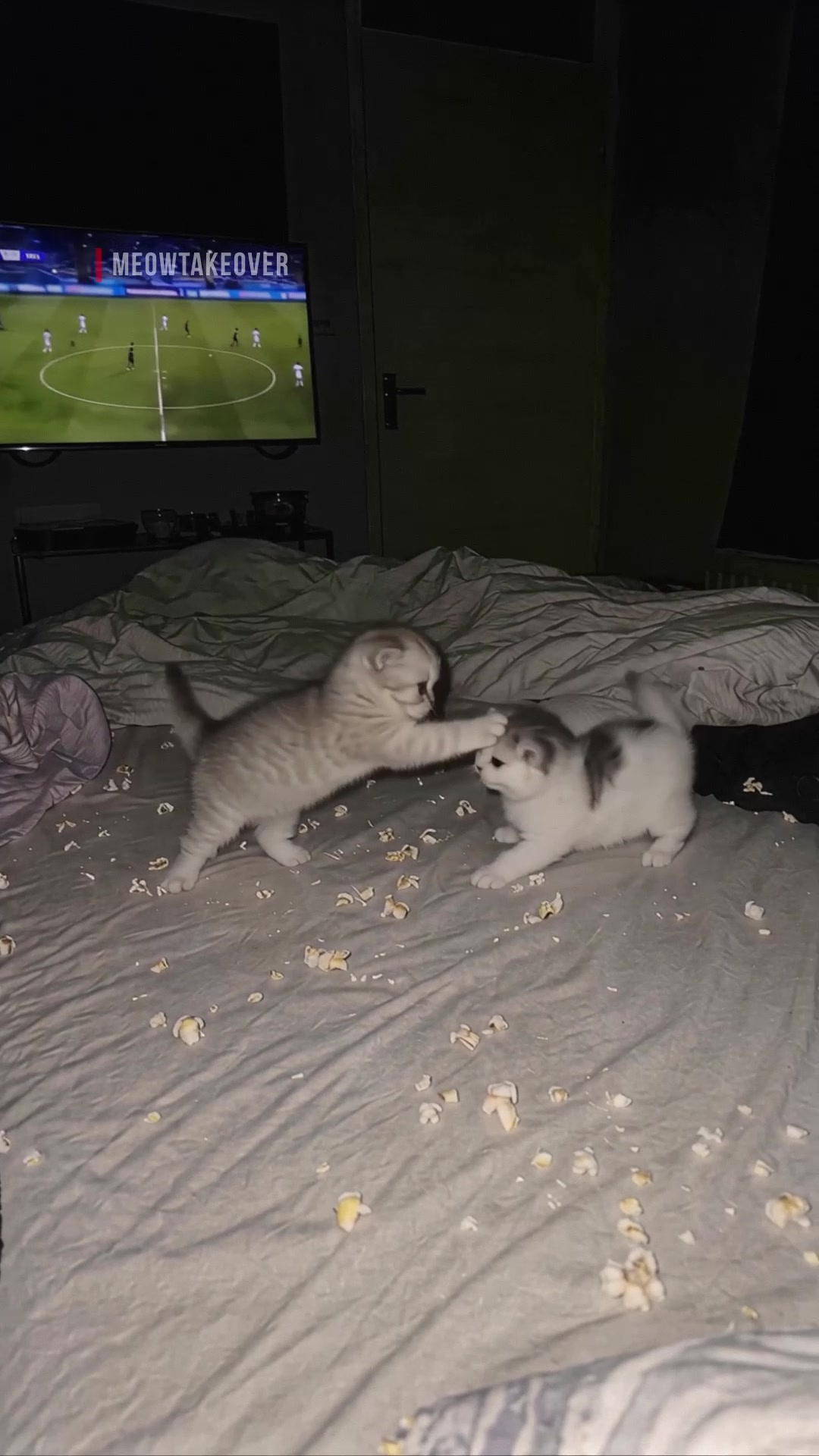 @meowtakeover