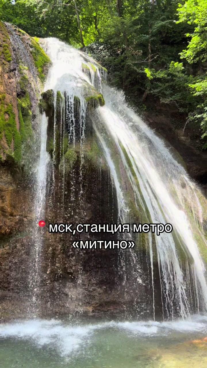 @arisshunya