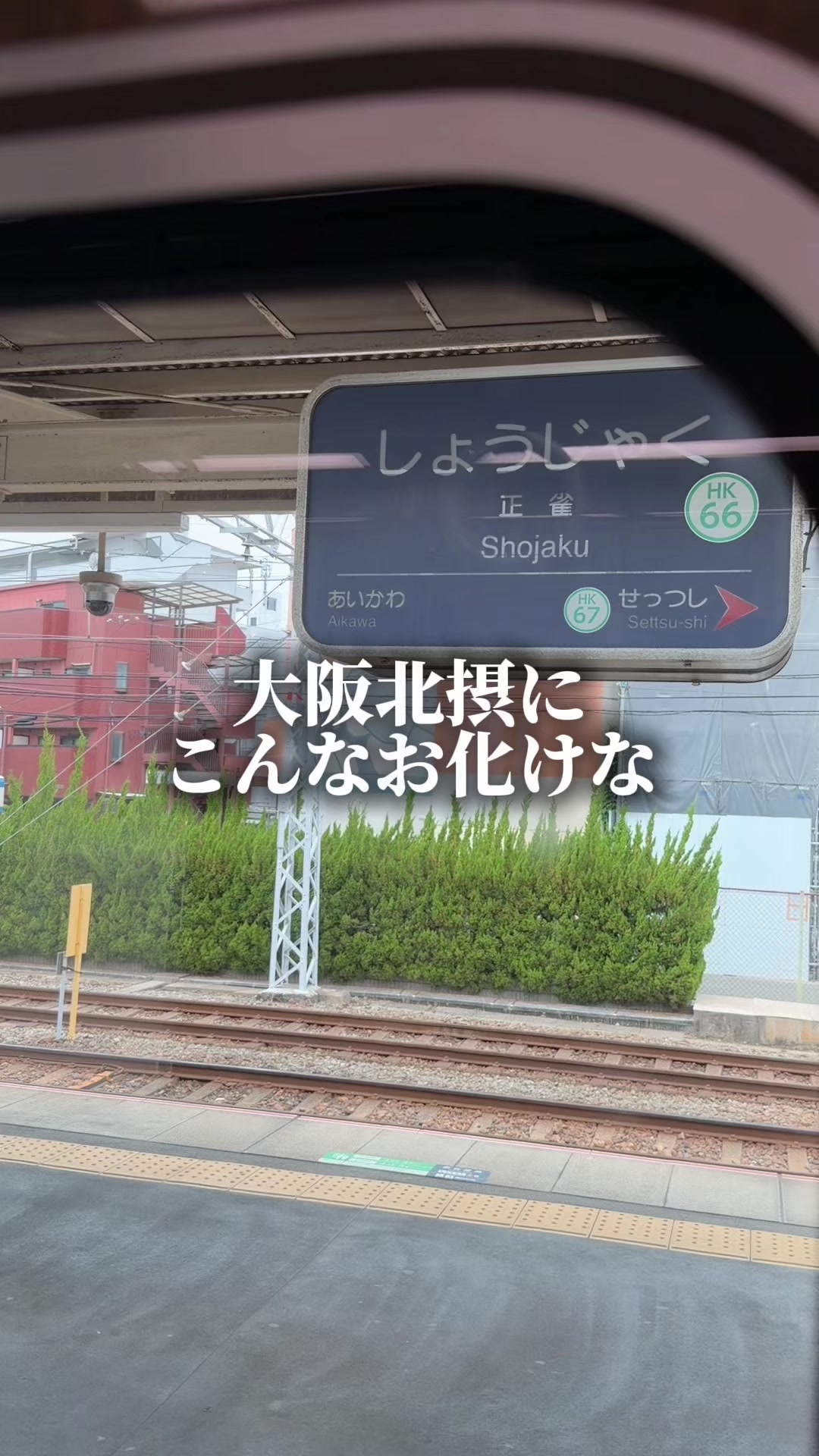 @セバ【大阪グルメ王関西グルメ王におれはなる】