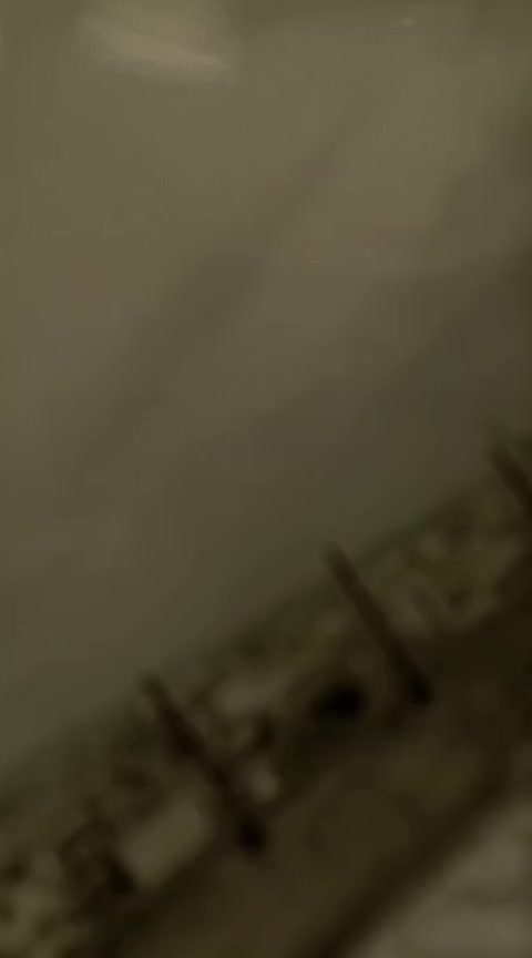 @س🕊️