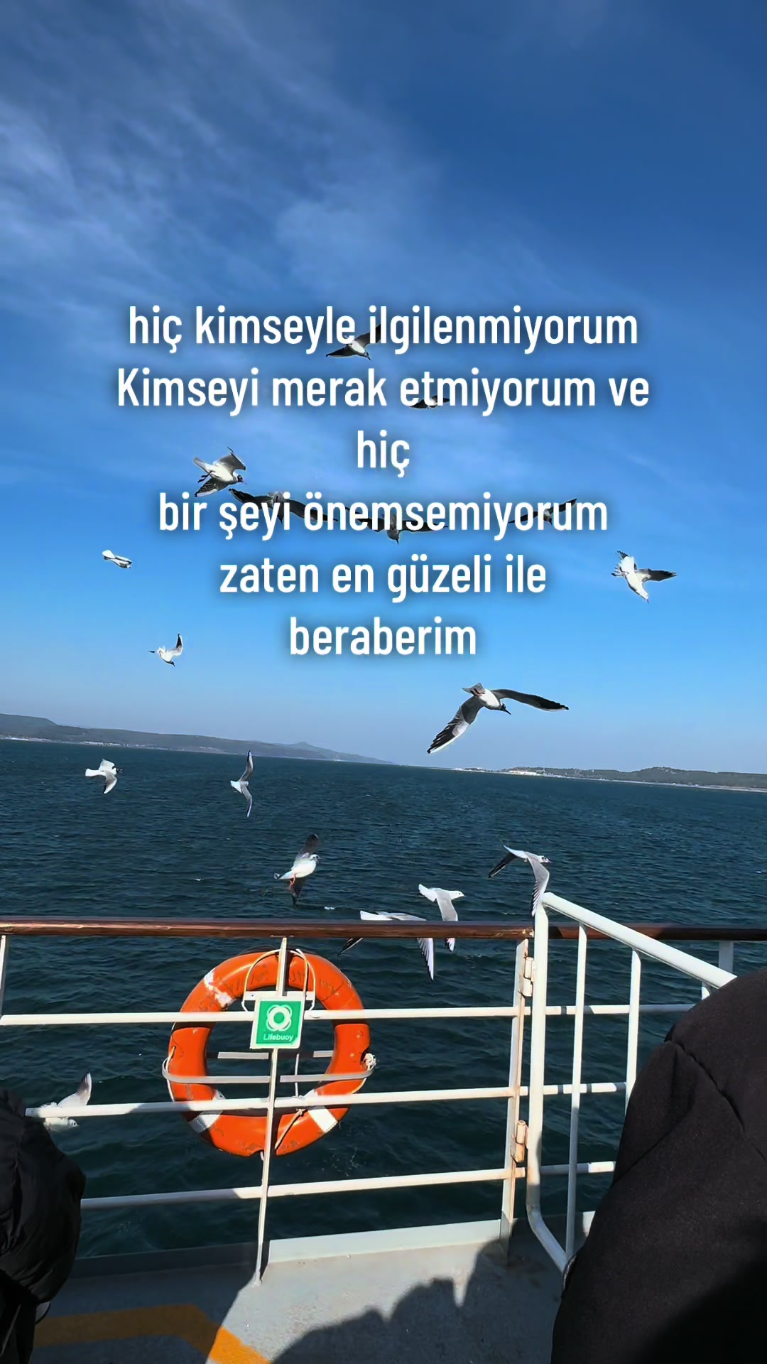 @Efe🕷️