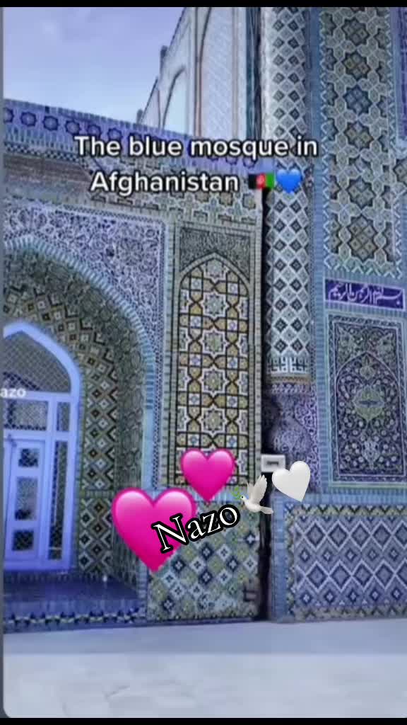 @sahar nazo 🕊️🤍
