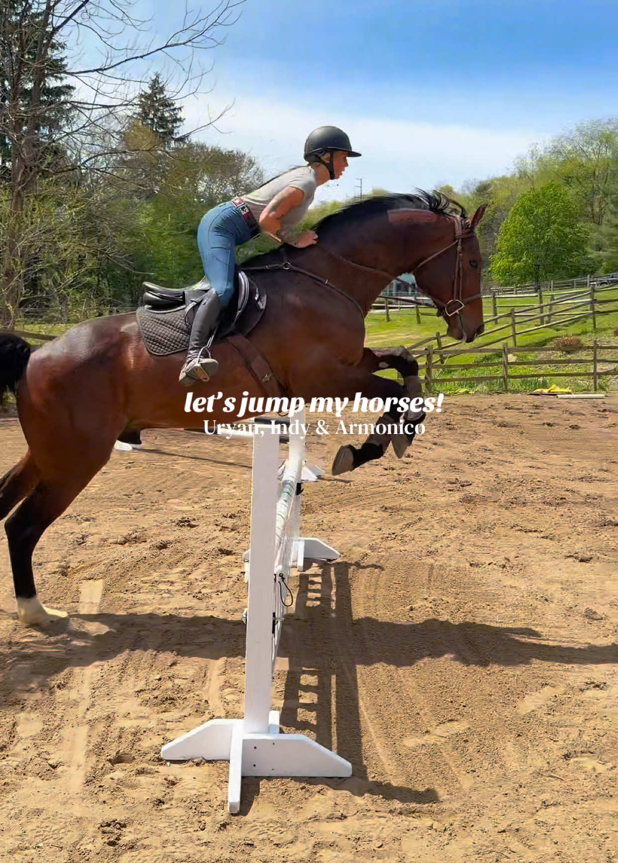 @Lunar Hill Equestrian