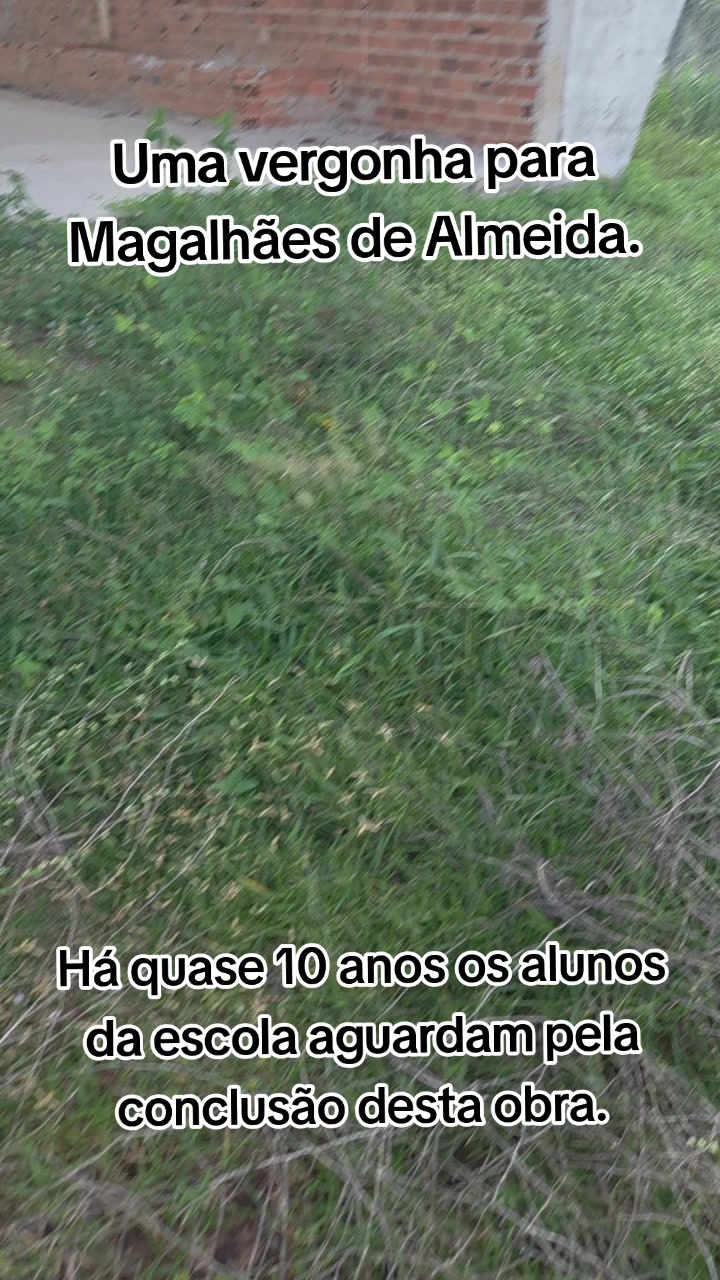 @Cintia Aires