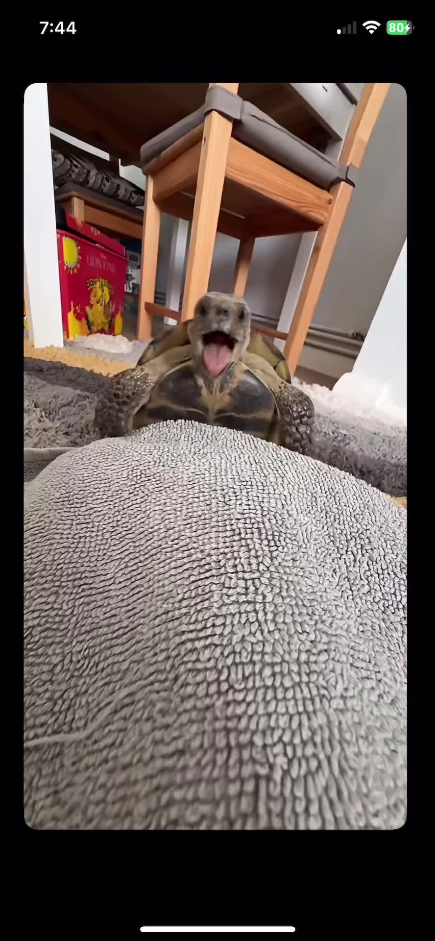@ADCstreams