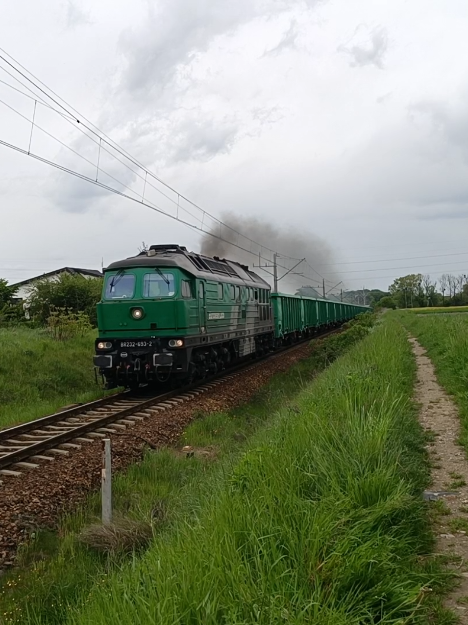 @Dawid🚅😈