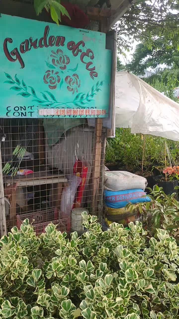 @Beautiful Garden of Eve