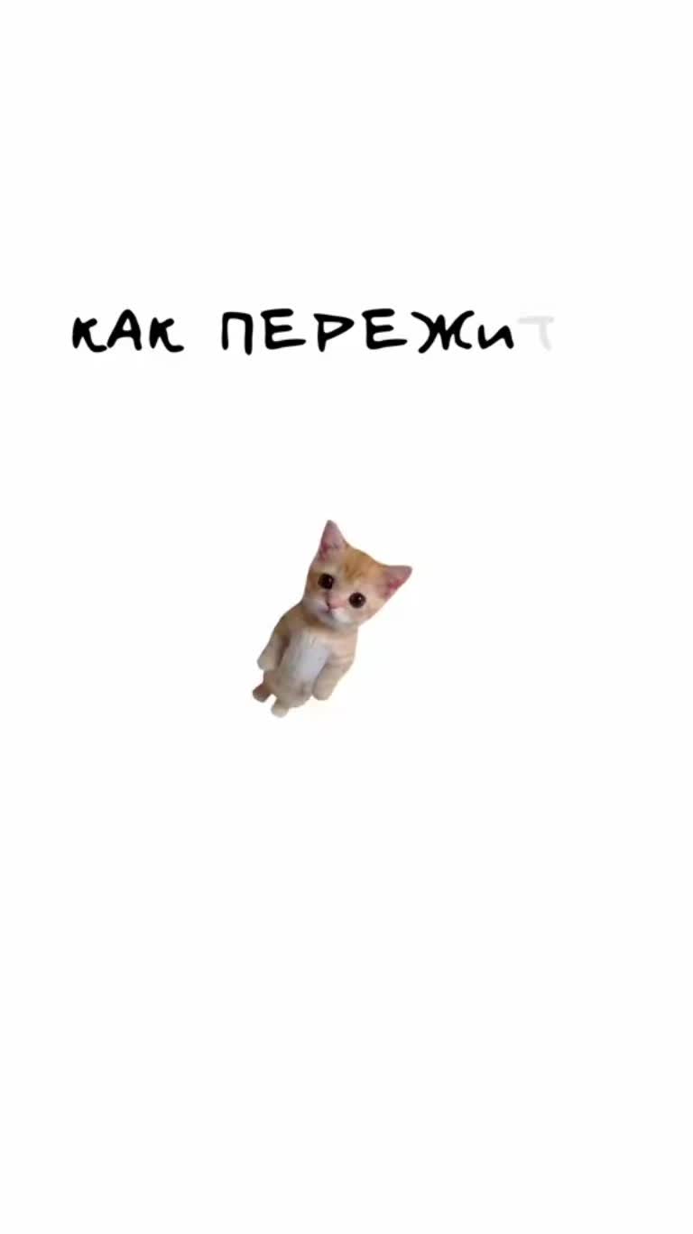@аленка🪽