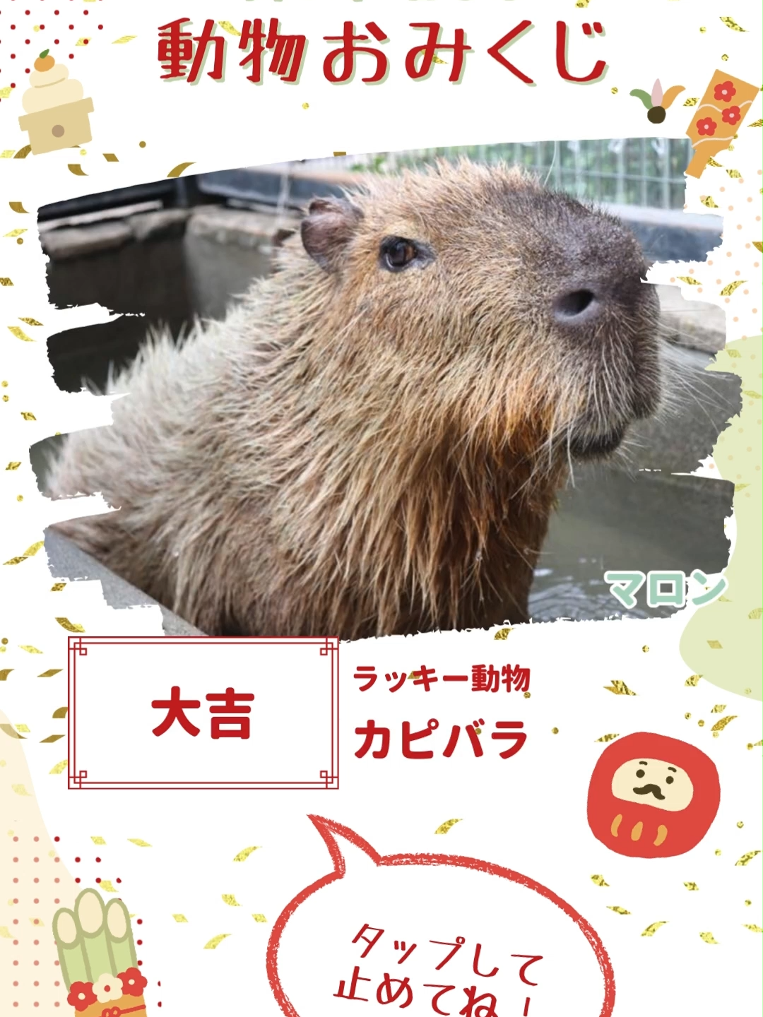 @TCA東京ECO動物海洋専門学校