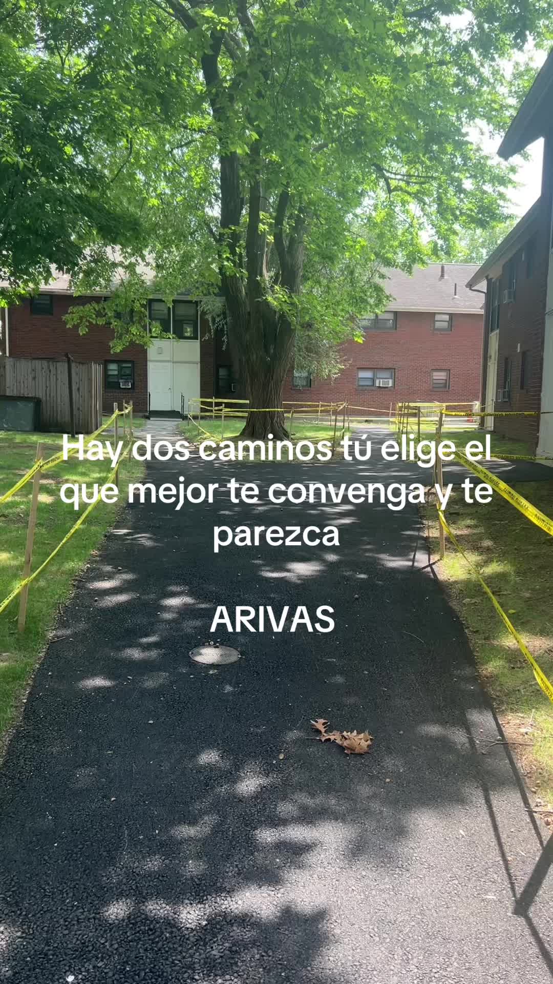 @arcedinarivas