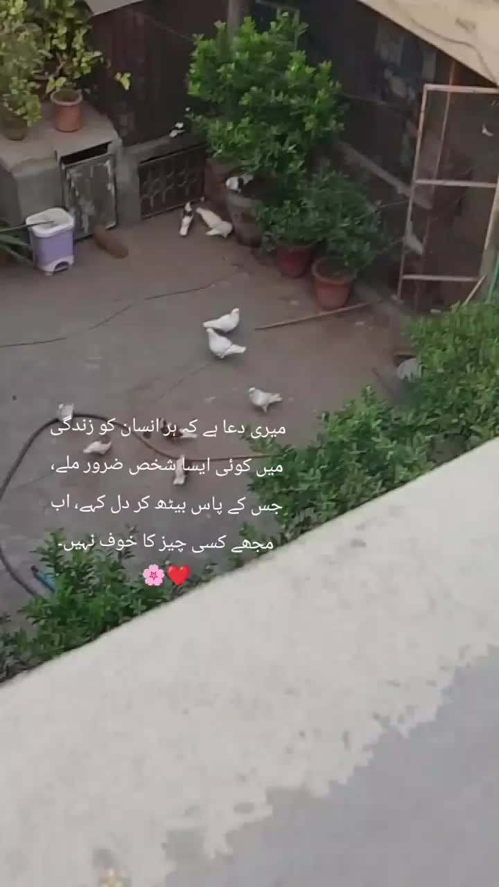 @aiman khan
