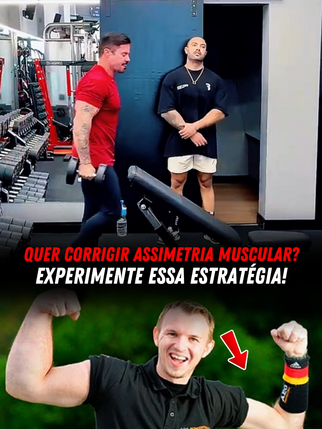 @Projeto Monstro
