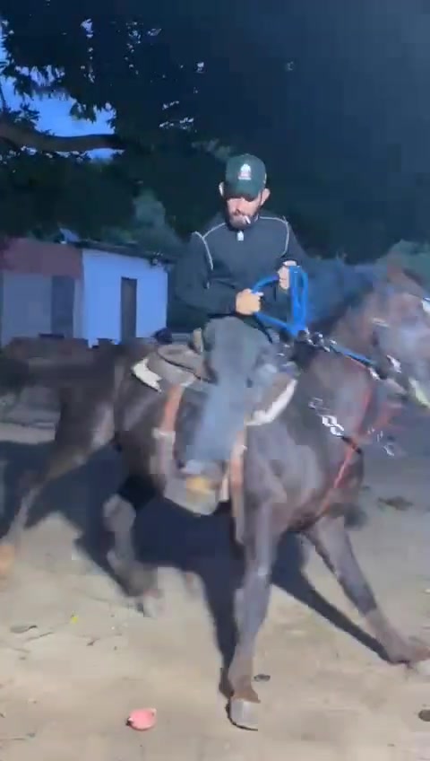 @🐺🇧🇷mineirinho🇧🇷🐺